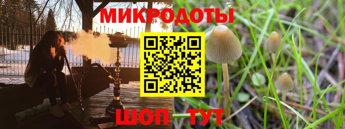 Галлюциногенные грибы Psilocybe Родники